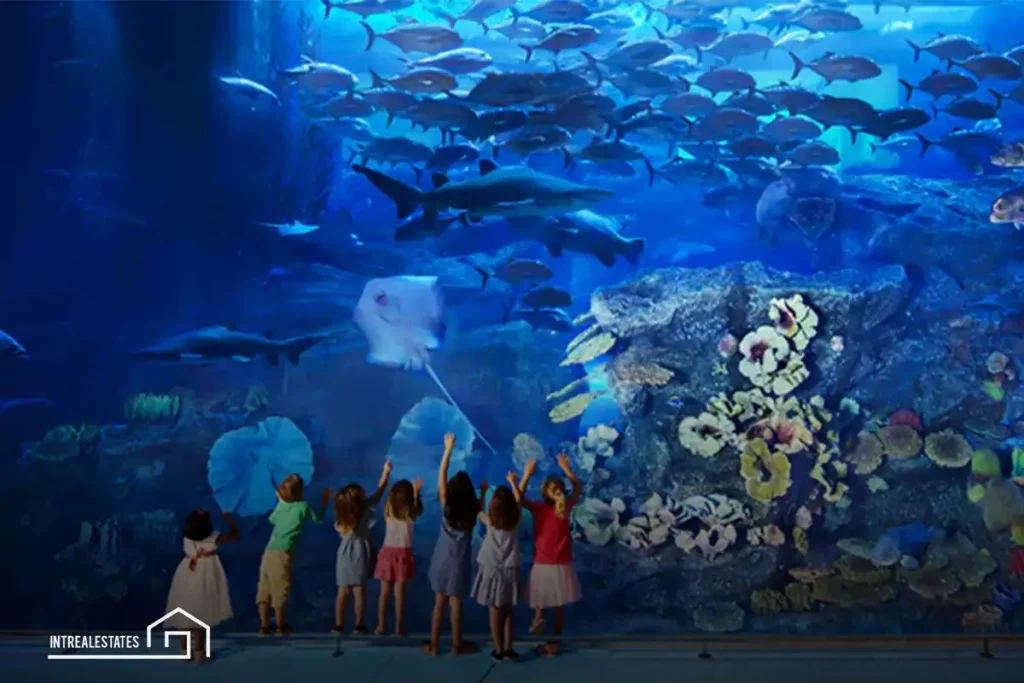 Dubai Aquarium: A Breathtaking Journey into the Ocean Depths 1 Strategic Location and Accessibility