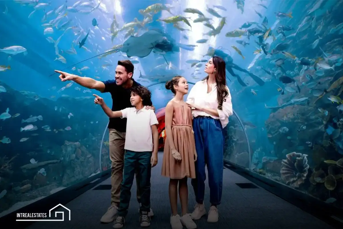 Dubai Aquarium: A Breathtaking Journey into the Ocean Depths