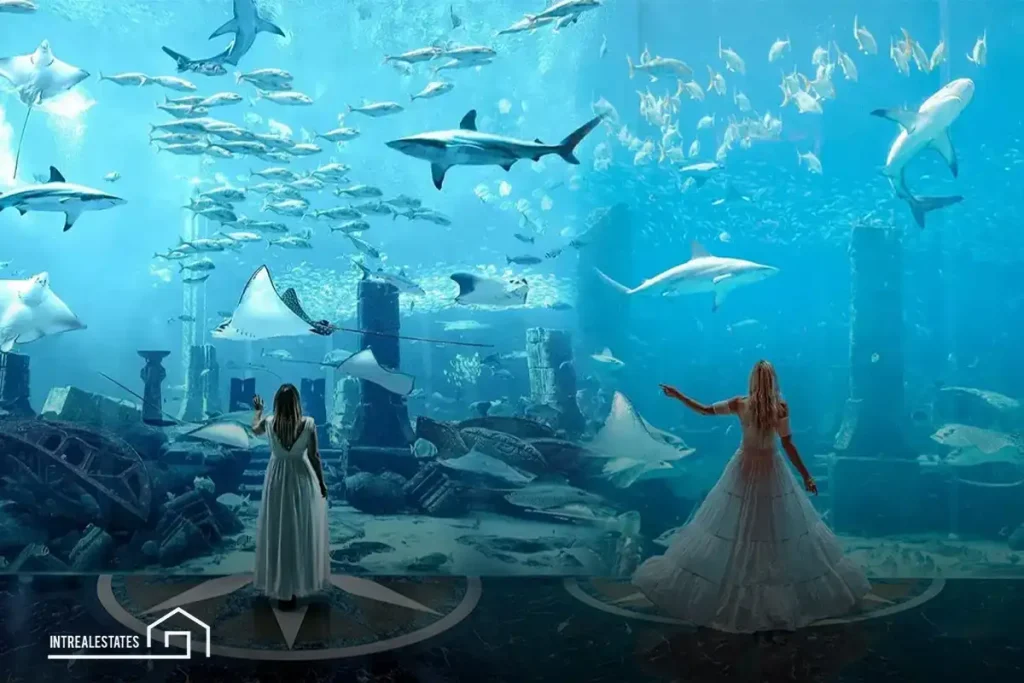 Dubai Aquarium: A Breathtaking Journey into the Ocean Depths 2 Activities and Unforgettable Experiences