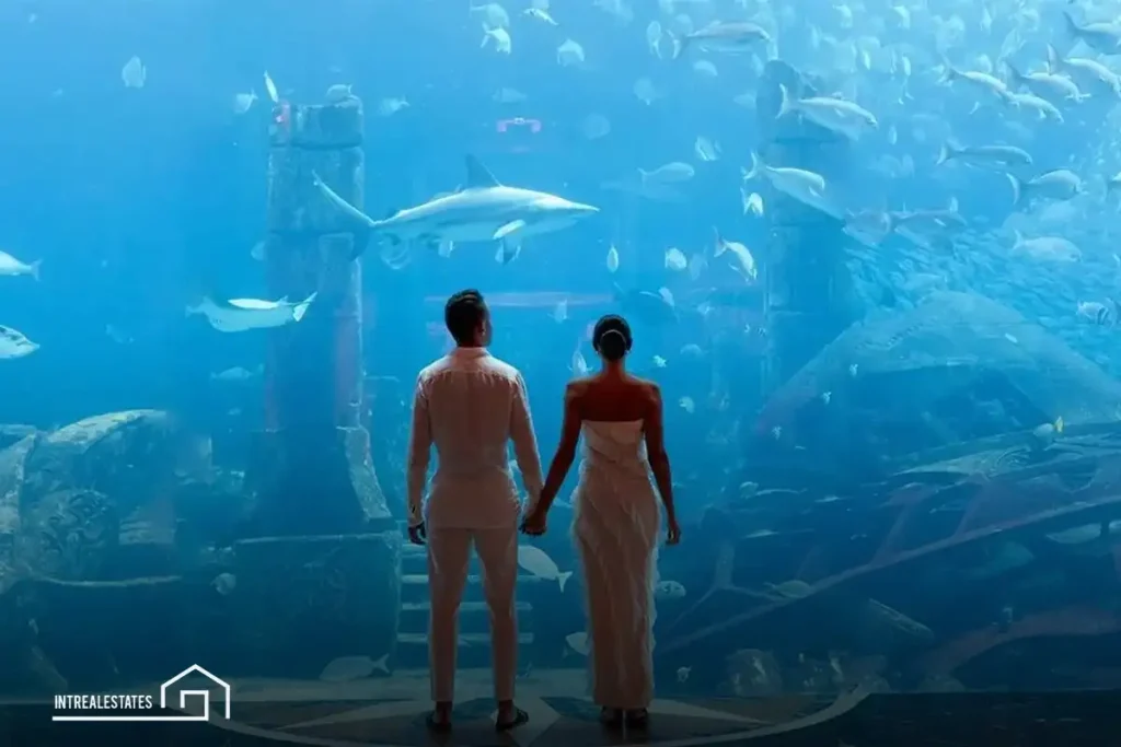 Dubai Aquarium: A Breathtaking Journey into the Ocean Depths 3 Important Tips for Your Visit