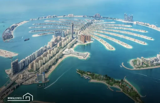 Dubai or North Cyprus